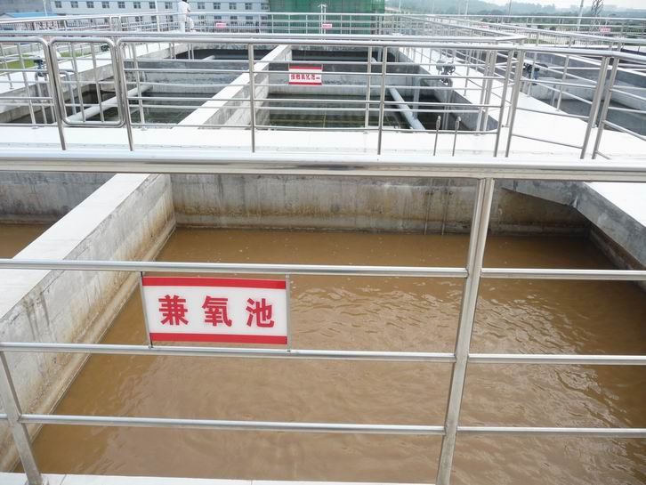 ���̰���